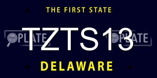 TZTS13 Delaware License Plate