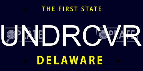 UNDRCVR Delaware License Plate