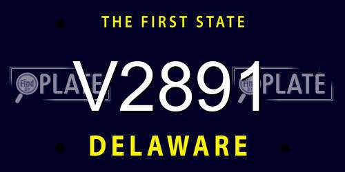 V2891 Delaware License Plate