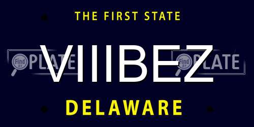 VIIIBEZ Delaware License Plate