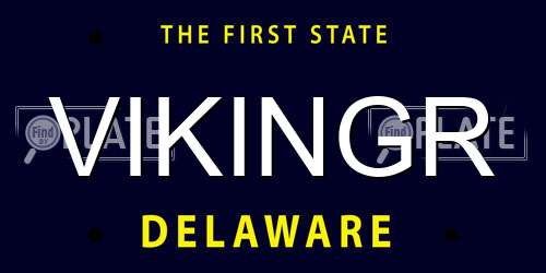 VIKINGR Delaware License Plate