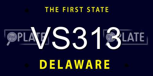VS313 Delaware License Plate