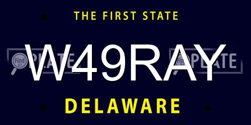 W49RAY Delaware License Plate