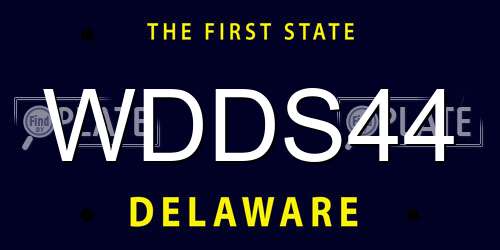 WDDS44 Delaware License Plate