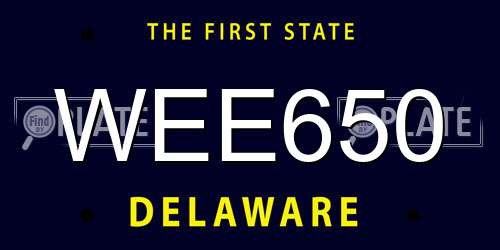 WEE650 Delaware License Plate