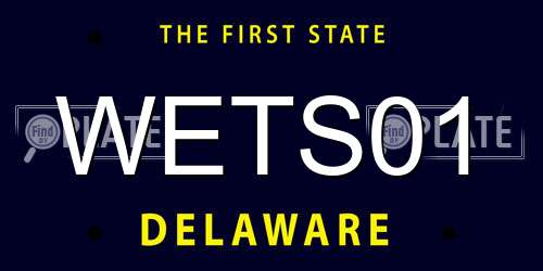 WETS01 Delaware License Plate