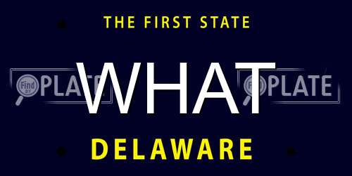 WHAT Delaware License Plate