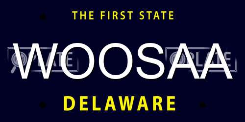 WOOSAA Delaware License Plate