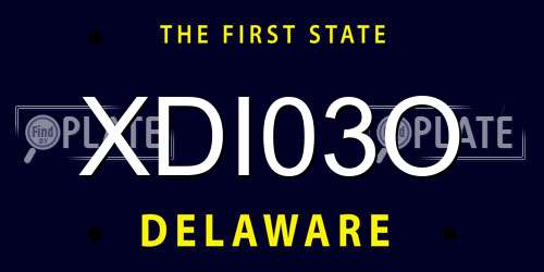 XDI03O Delaware License Plate