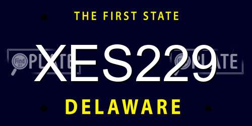 XES229 Delaware License Plate