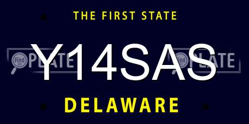 Y14SAS Delaware License Plate