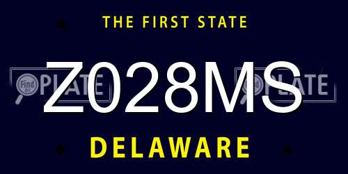 Z028MS Delaware License Plate