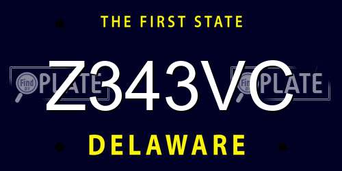 Z343VC Delaware License Plate