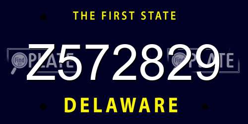 Z572829 Delaware License Plate