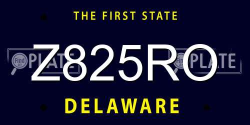 Z825RO Delaware License Plate