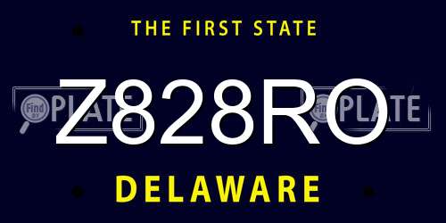 Z828RO Delaware License Plate