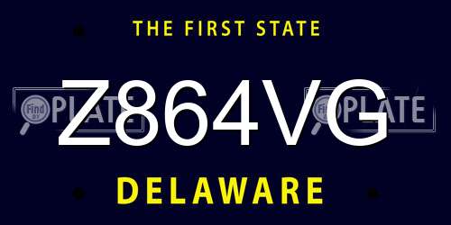 Z864VG Delaware License Plate