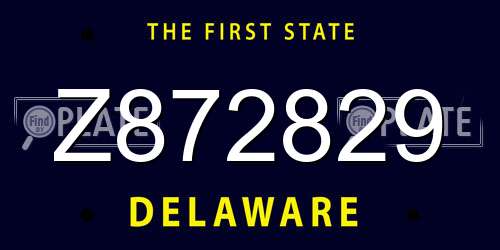 Z872829 Delaware License Plate