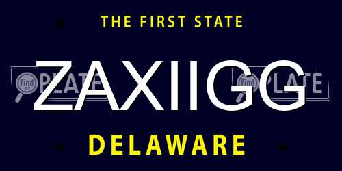 ZAXIIGG Delaware License Plate
