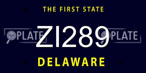 ZI289 Delaware License Plate