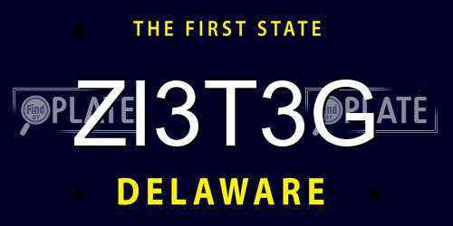 ZI3T3G Delaware License Plate