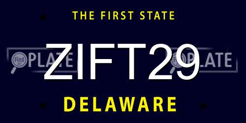 ZIFT29 Delaware License Plate