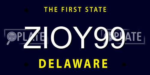 ZIOY99 Delaware License Plate