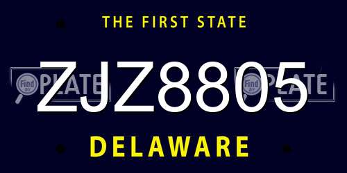 ZJZ8805 Delaware License Plate