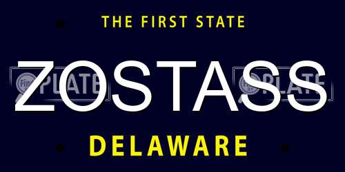 ZOSTASS Delaware License Plate