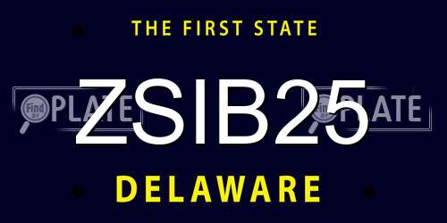 ZSIB25 Delaware License Plate