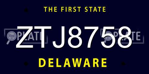 ZTJ8758 Delaware License Plate