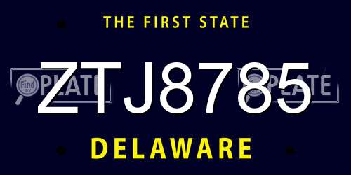 ZTJ8785 Delaware License Plate