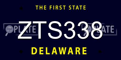 ZTS338 Delaware License Plate
