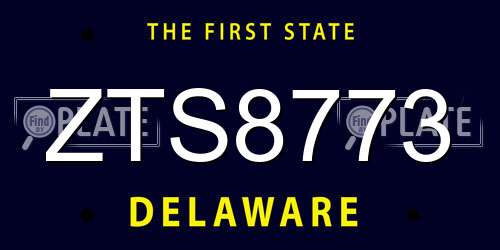 ZTS8773 Delaware License Plate
