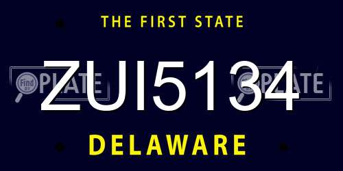 ZUI5134 Delaware License Plate