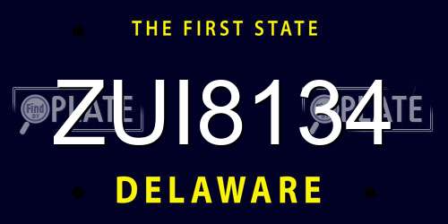 ZUI8134 Delaware License Plate
