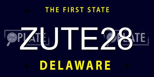 ZUTE28 Delaware License Plate