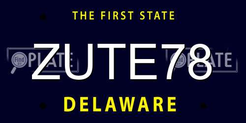 ZUTE78 Delaware License Plate