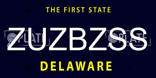 ZUZBZSS Delaware License Plate