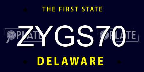 ZYGS70 Delaware License Plate