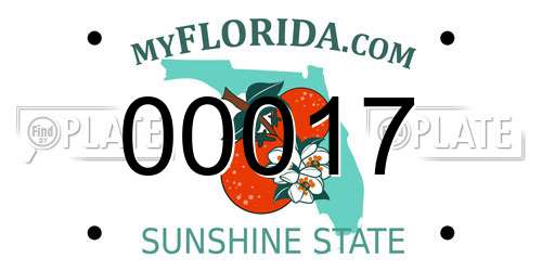 00017 Florida License Plate