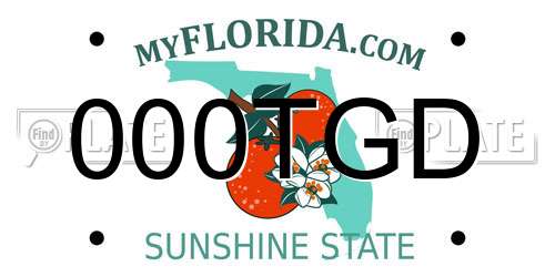 000TGD Florida License Plate