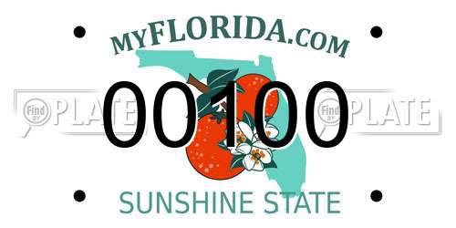 00100 Florida License Plate
