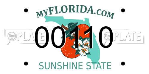 00110 Florida License Plate