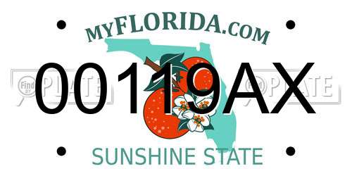 00119AX Florida License Plate