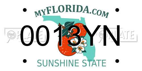 0013YN Florida License Plate