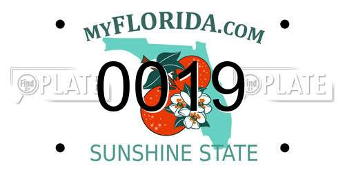 0019 Florida License Plate