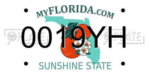 0019YH Florida License Plate