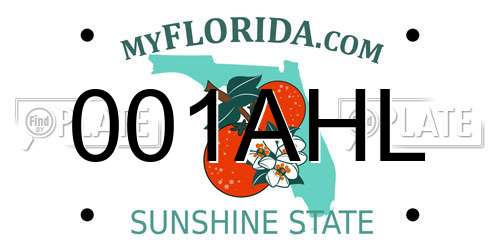 001AHL Florida License Plate