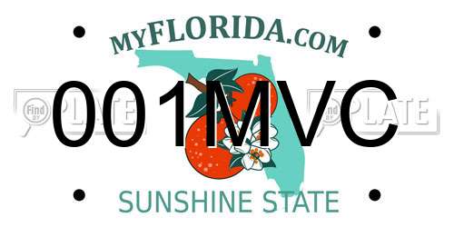 001MVC Florida License Plate
